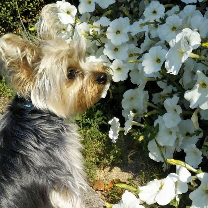 Bf0a6c96 ce56 4ae3 8590 15ed5a648efa 1556341345517