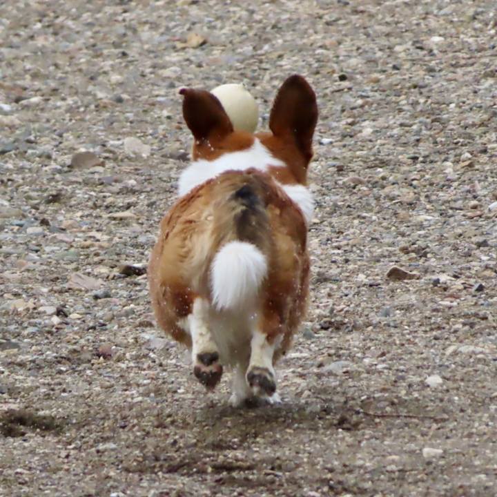 Bf0a7a15 0b0e 48ab 8629 9044e370dd09 1694393538749