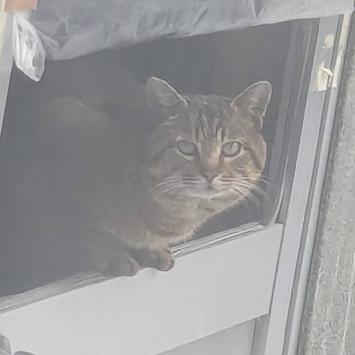 Bf0aa05e 040f 48f0 bfb7 826596658afb 1712583249851