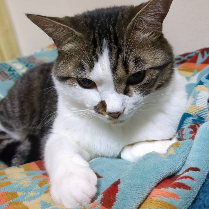 Bf0ac2e6 8eab 46d2 ad66 18821e229361 1684276220216