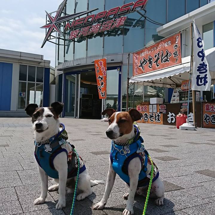 Bf0aee7b 9785 47db 885d 0df228a1122f 1555725279622