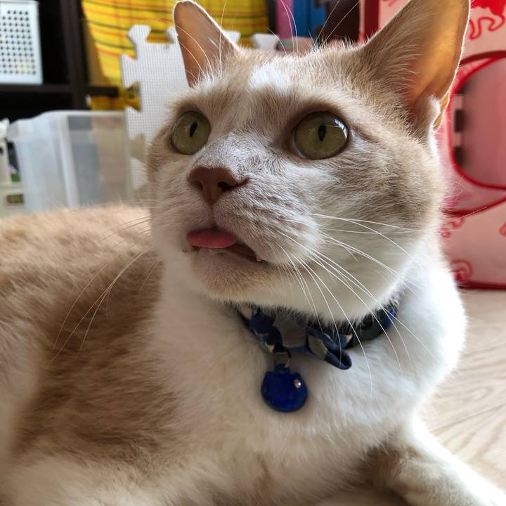 Bf0aef18 d62f 44e4 9ecd feabc8baa63a 1566700198472