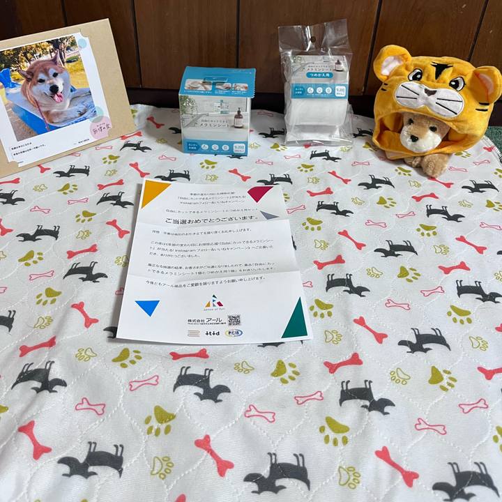 Bf0b3e1c 88c4 49b1 b28c 9a61368e682b 1667470632128