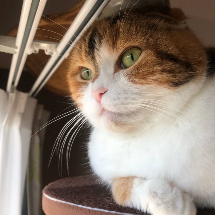 Bf0b6892 ba79 40e8 8ef9 fc30afa32d87 1612656455653