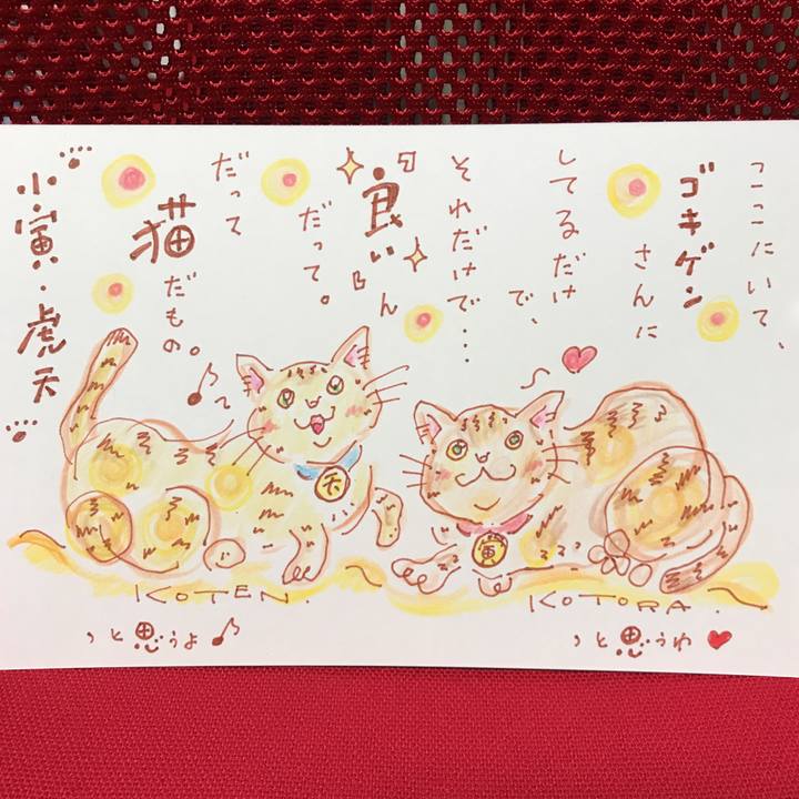 Bf0b7311 c241 4f50 b49d 2f3df9de24de 1555276281235