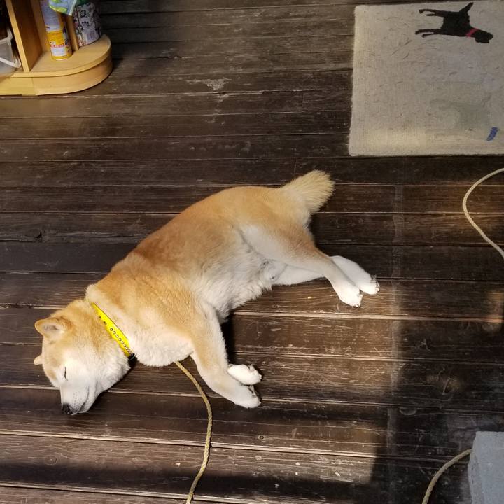 Bf0b7323 28e0 424f b43e d0e0cb952e5d 1682639352518