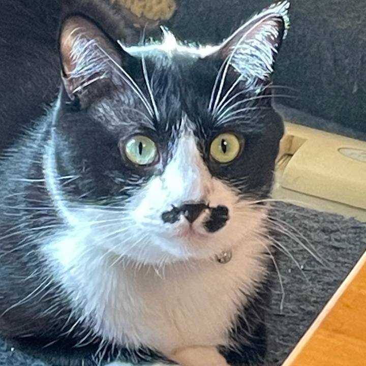 Bf0b824b 87f7 4f04 ba67 18e4b4375d06 1681690543416