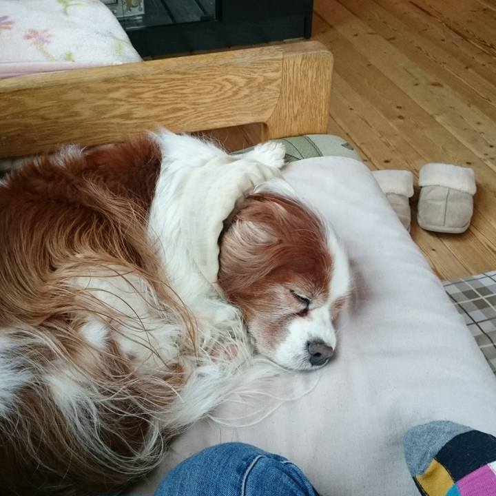 Bf0b9ff9 061a 4bd8 8628 e8f72291446a 1548565394755