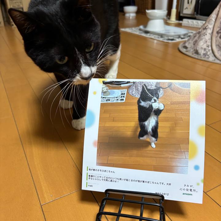 Bf0bbea5 0dee 4e0e ab73 fc943fc5bf2d 1774263786583