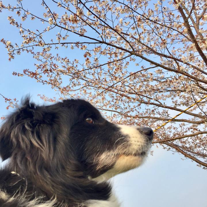 Bf0c125a d592 4624 ab20 280ad56bd203 1553641490075