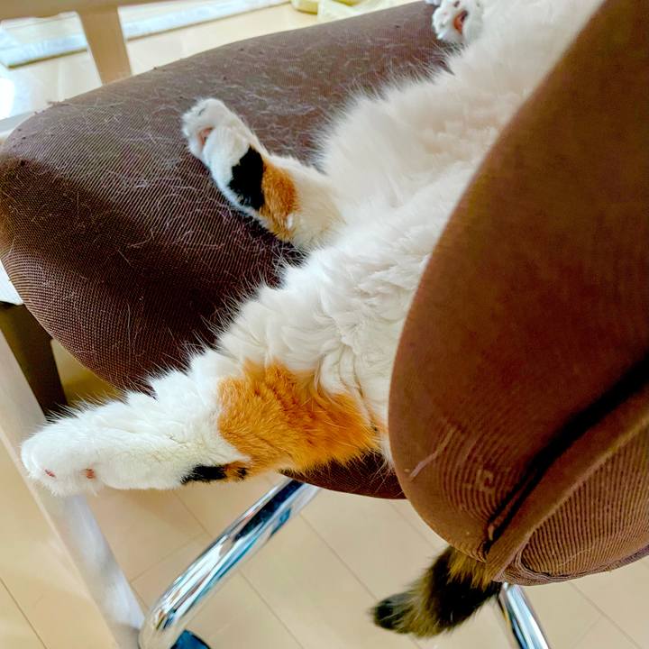 Bf0c90cc 5baf 40c8 901d 44e842a6acdb 1656553767460