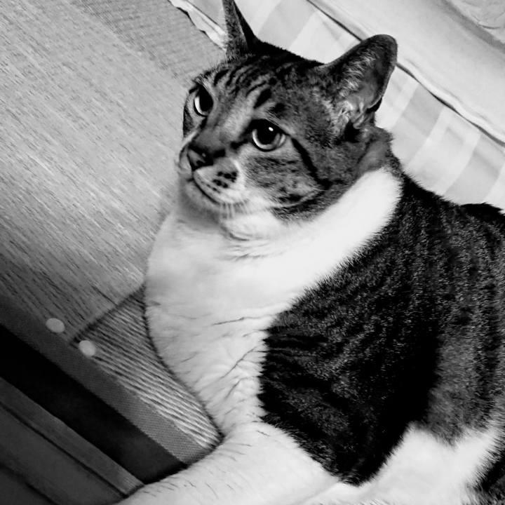 Bf0ca725 097a 4e4d 8f69 983956669e23 1582334059613