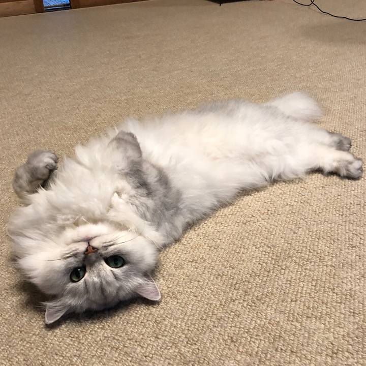 Bf0cc432 27f0 4daf 8871 115717484d04 1568537620866