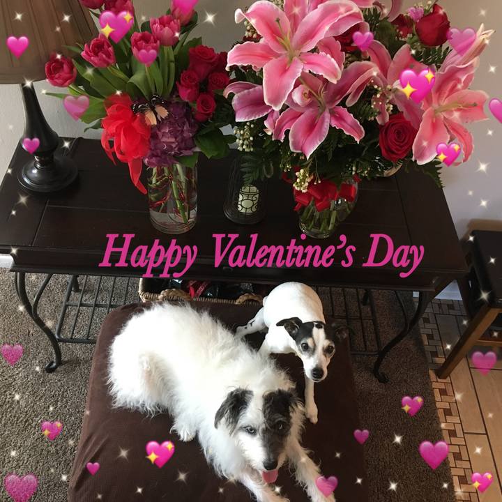 Bf0cd591 4010 47aa 9288 3a67e27cd287 1581716390778