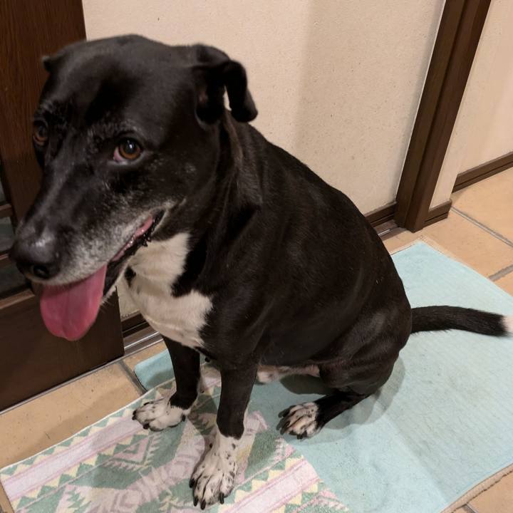 Bf0ced95 9ece 4b95 96fa 732064d82691 1727435549113