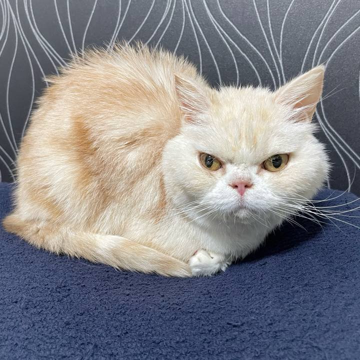 Bf0cf50c ae3b 4487 924b 3ff7f8a04437 1767794364382