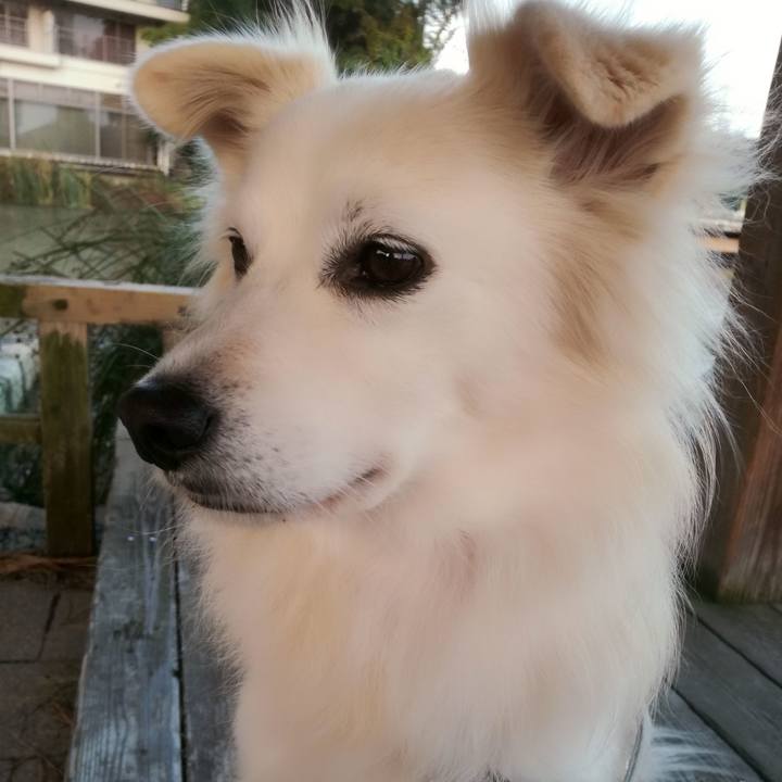 Bf0d1841 b49f 4ddb 9853 612719509662 1509353378955