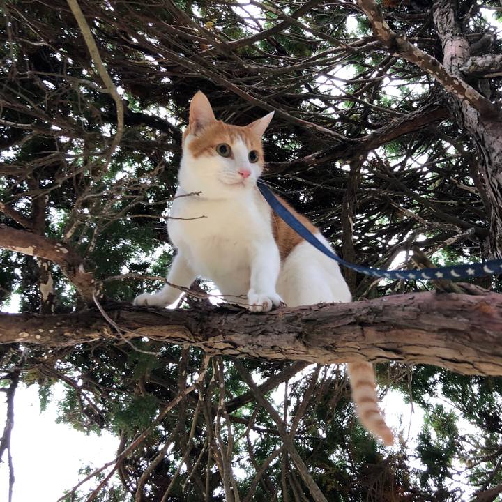 Bf0d4fb4 02c6 4da7 a47a 0afbb3447b25 1539753751087