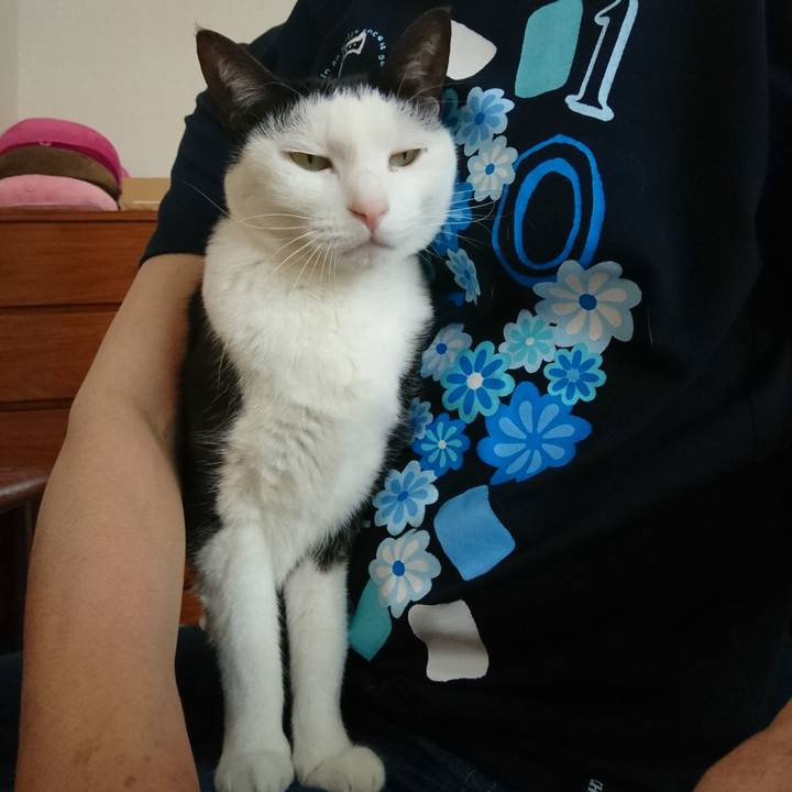 Bf0d88c8 e1cc 4c77 83e1 97be14bd9d19 1556864414368