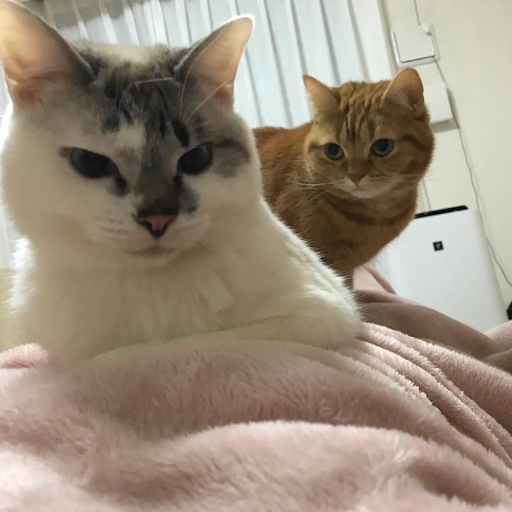 Bf0d8dc7 6332 4d61 b74c e7eb590bd257 1523447152662