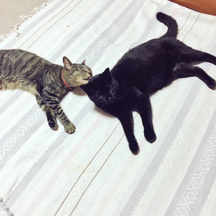 Bf0db595 8ce6 47bd b5e4 e517a36c613d 1530058400544