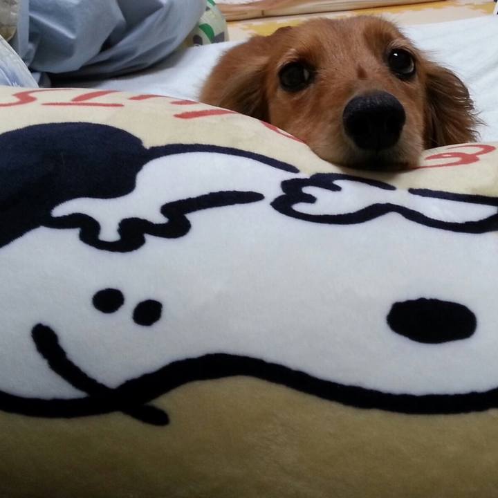 Bf0dc6ea 8dec 4fc0 807c 70792950adc8 1589120229964