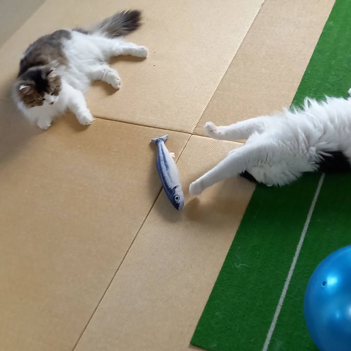 Bf0ddf5c e261 4b2b 8d48 6e4a9e035ca1 1622468149183