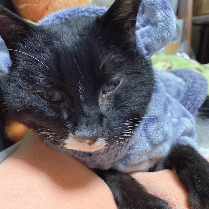 Bf0e224f 537e 44b6 b5ea 89ddd3764e1a 1645195037343