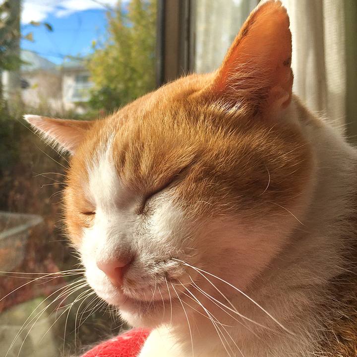 Bf0e5e0e 1c3f 421b a997 e360973a1fb8 1574669095803