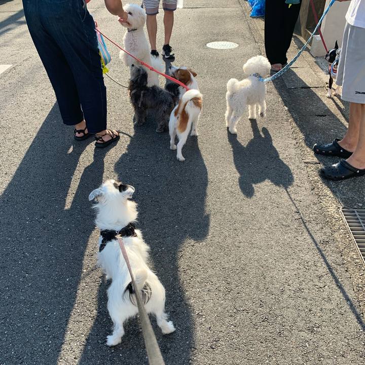 Bf0eb486 f02c 49a2 b19a 986c9c614661 1725664902068