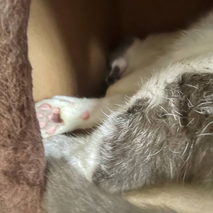 Bf0ec0fb d4f8 4e87 ba6a 39647a5cc1c7 1751355714315