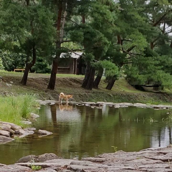 Bf0ed352 232d 4e82 8c7c 788d83ffc181 1660966229344