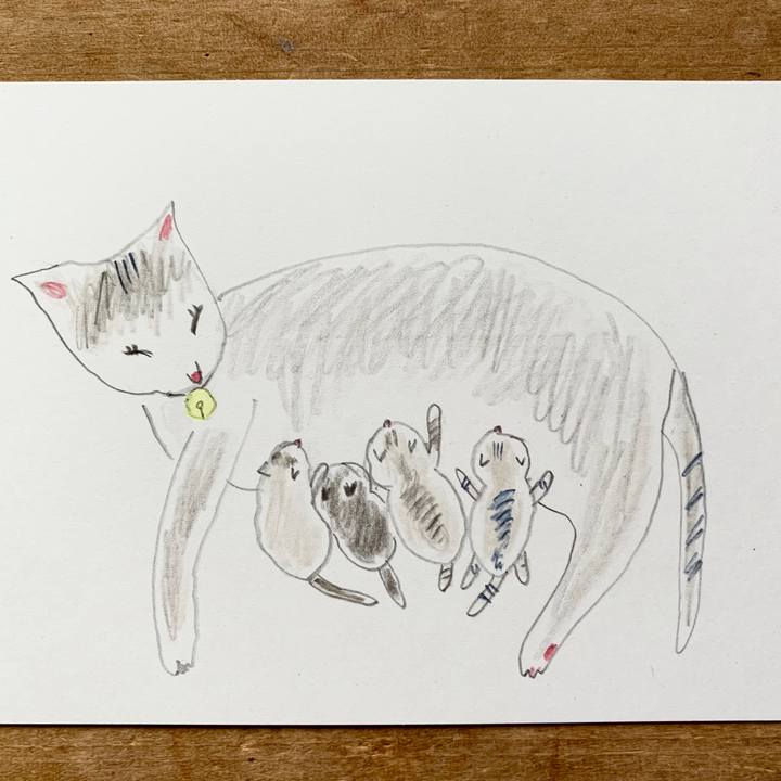 Bf0ed3df 00c2 4b51 b59f 04f550c12976 1593295383695