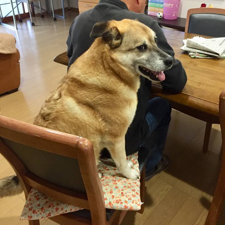 Bf0ef640 3b5d 4155 b2f7 870029207443 1560333916215