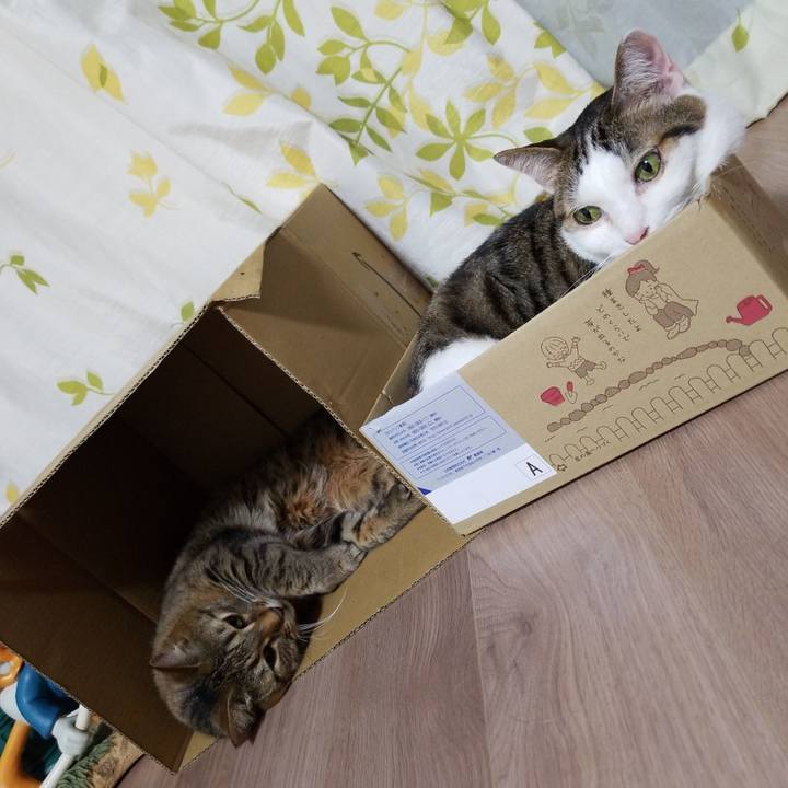 Bf0f368c 02ad 41d7 839b d01d12dad90e 1587041433718