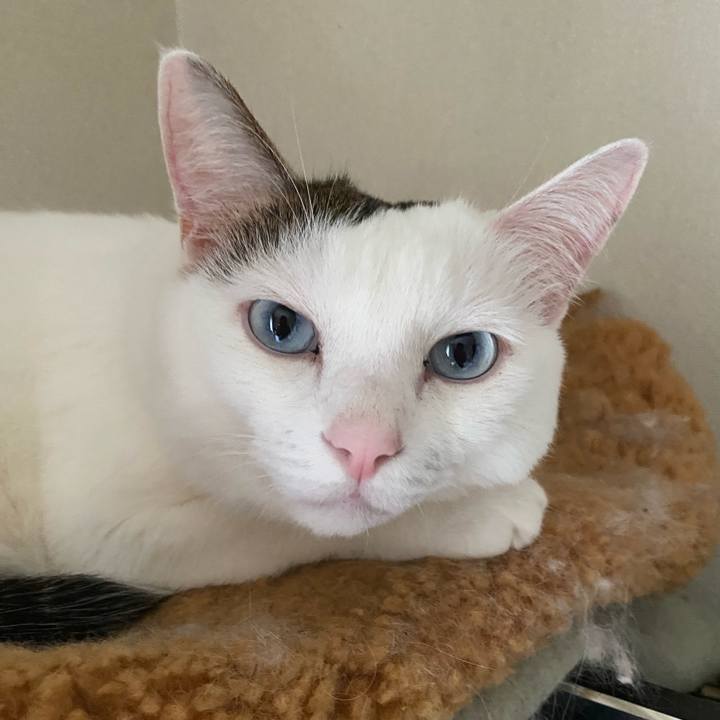 Bf0f4685 bda7 4ca0 a0b2 a1c03f16ebe5 1665008456546