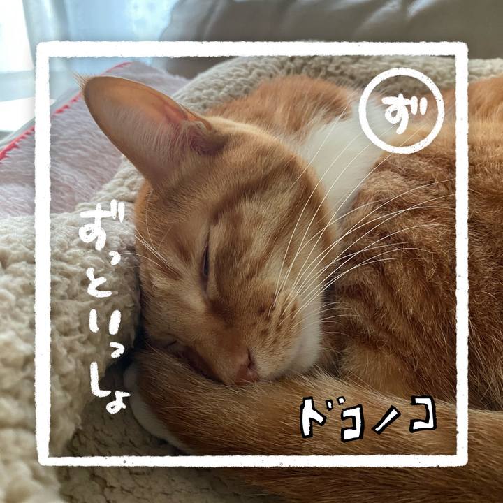 Bf0f5d91 4a38 4929 b9cf e265f299d638 1685984627745