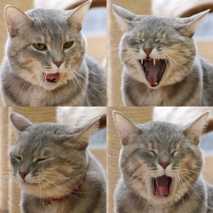 Bf0f609b e509 41bd b2a3 75e48d59288e 1513076911270