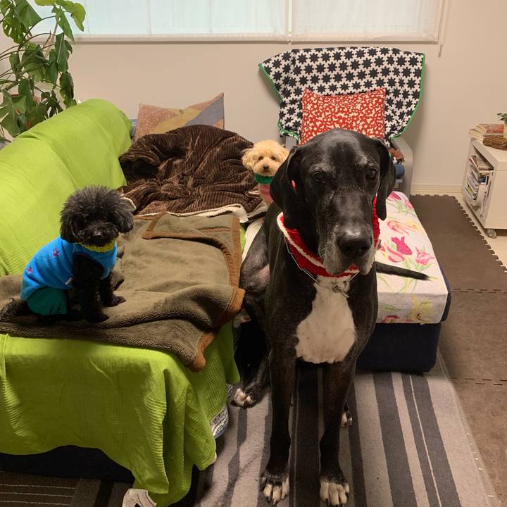 Bf0f760b 8d7c 4854 a35b aae0be8fe7c0 1550011430865