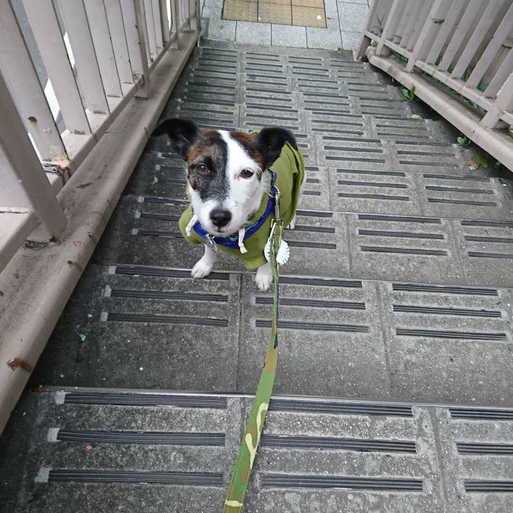 Bf0fbb09 deea 455c a6b9 54600a5807af 1509142635600