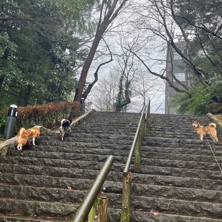 Bf0feb58 d3b8 41d7 a8cd 32a6a92f3b87 1769325747213