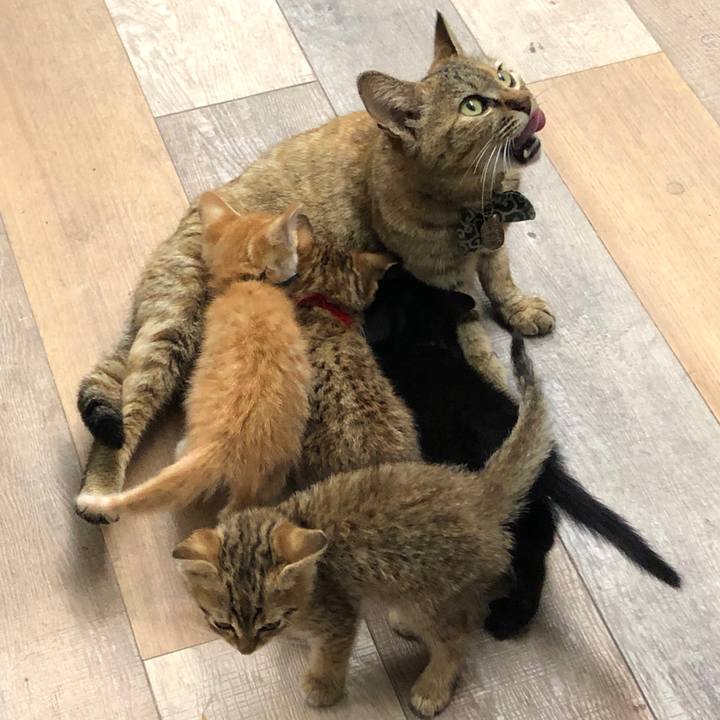 Bf1047e7 7f73 4759 af97 b14a35526a8a 1590548863995