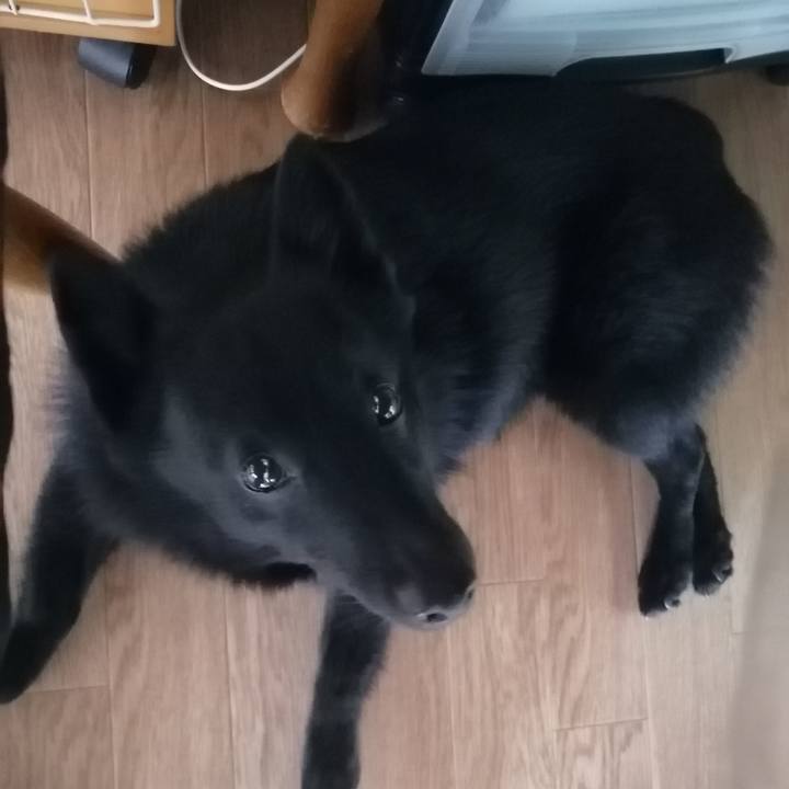 Bf104e2a 9177 4e65 8995 abb43bee9569 1631051806398