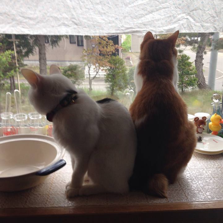 Bf105b0b 0a35 43cb abf7 dd89c92ccc86 1526688471824