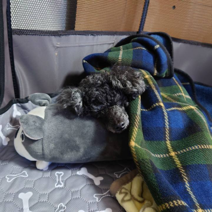 Bf105b3c 083d 4733 8987 f10314b598f1 1768026815118