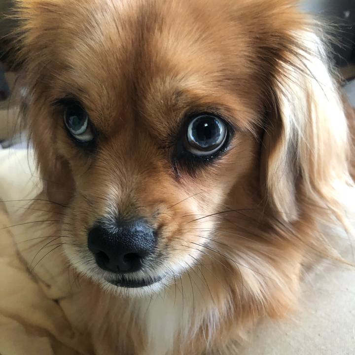 Bf10d268 10c7 41c9 a826 ef822b444977 1542610076768