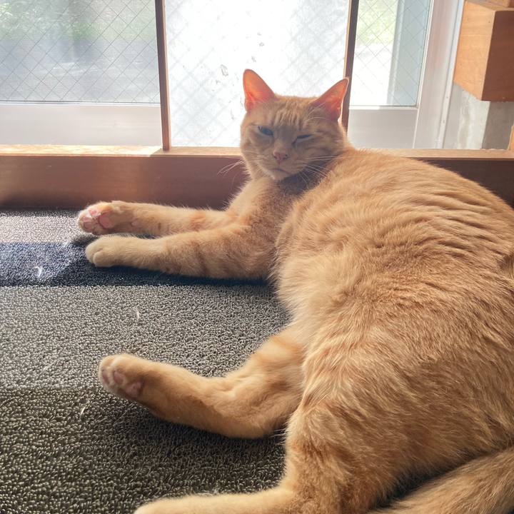 Bf110114 3aa7 4542 8a18 86f3c0694068 1723349844526