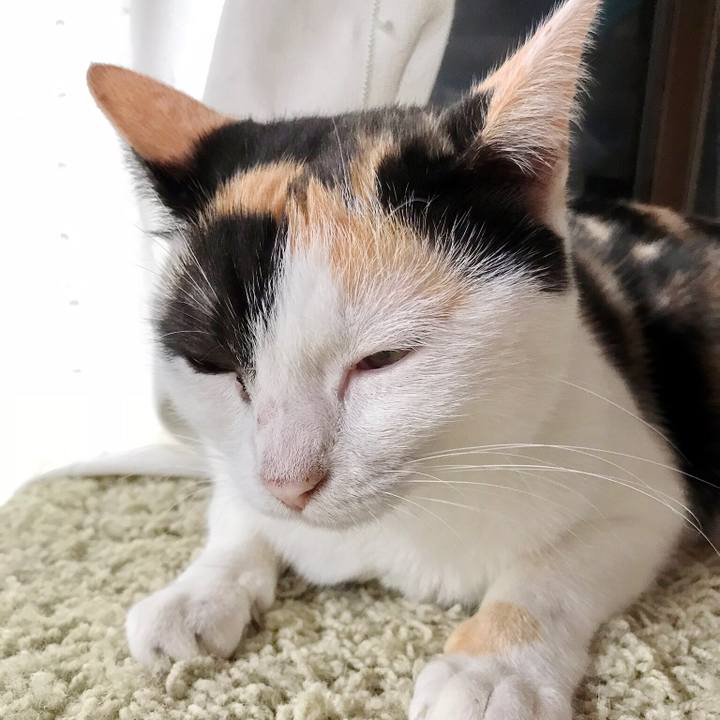 Bf112221 6f20 44ed b1bd 6c75cb6474f1 1508246779132