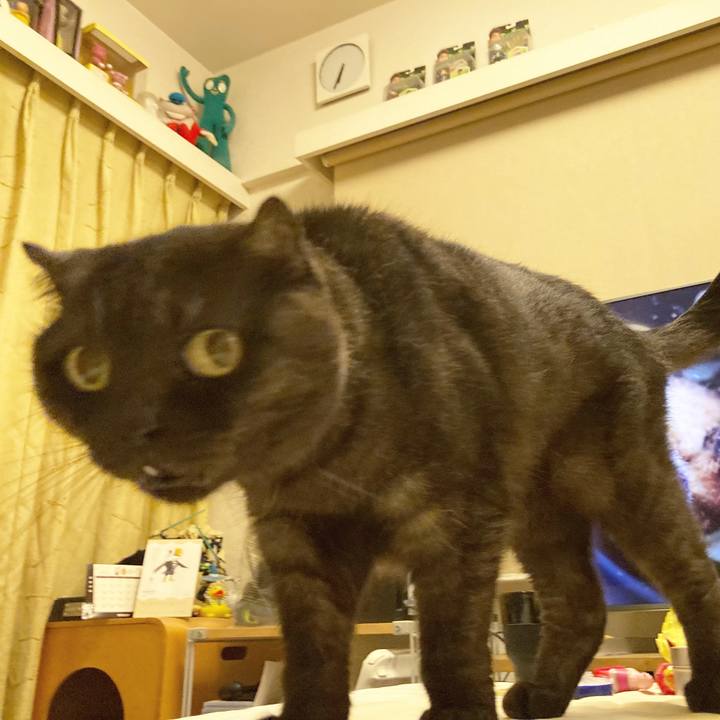 Bf115a01 df58 4140 bf42 6fc0997f1eac 1600340306706