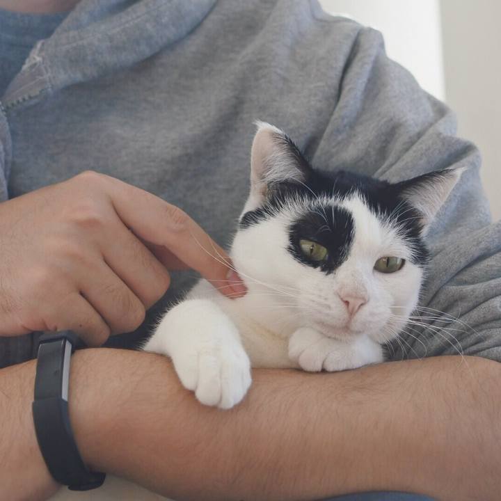 Bf11647c dcd4 4bfa 96b8 38230df0c71d 1512782396577